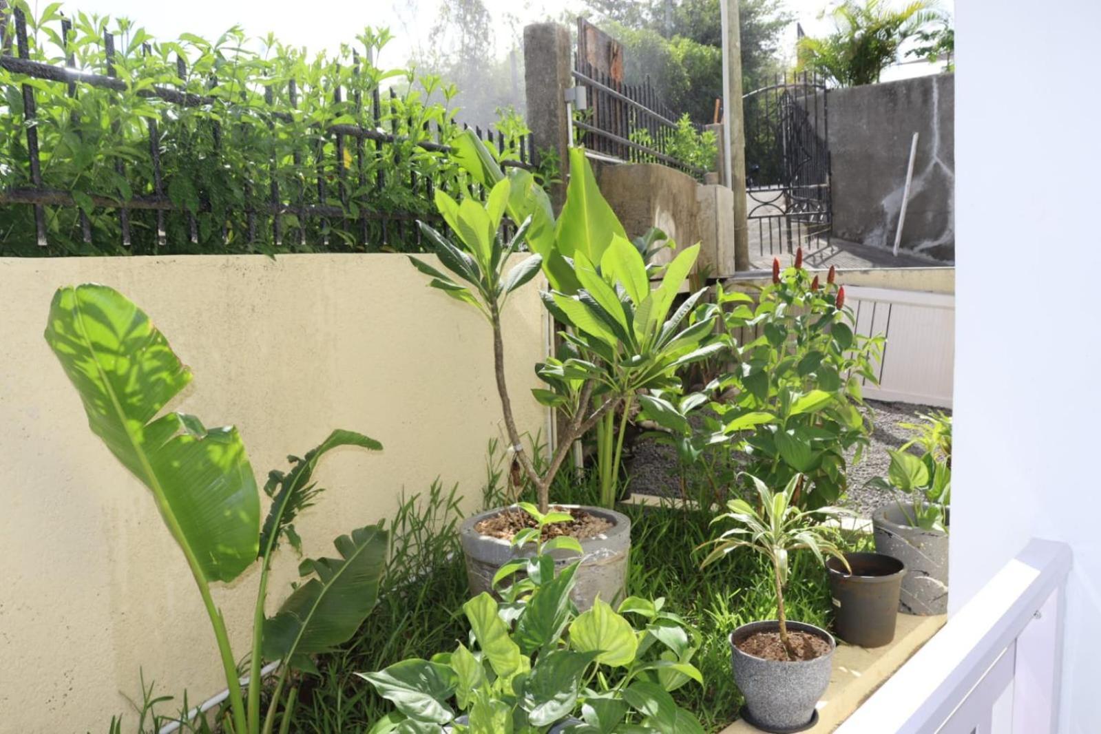 טרו ד'או דוס Garden Suite מראה חיצוני תמונה